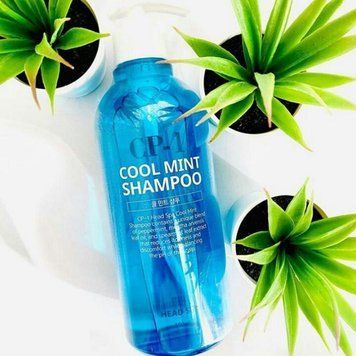 Освіжаючий шампунь для волосся Esthetic House CP-1 Cool Mint Shampoo, 500 мл